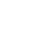 GM